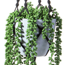 Pianta Artificiale Sedum con Pot da Appendere Ø 14 H 110 cm 