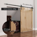 Binario per Porte Scorrevoli con Kit di Accessori in Acciaio al Carbonio 200x4x0.6 cm 