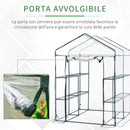 Serra da Giardino in PVC Trasparente 143x143x195 cm 