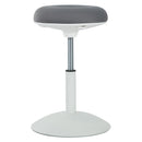 Sgabello per Estetista Girevole Altezza Regolabile Grigio Ø40x45-59 cm 