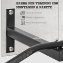Barra Trazioni a Muro con Struttura in Acciaio 116x43x20 cm 