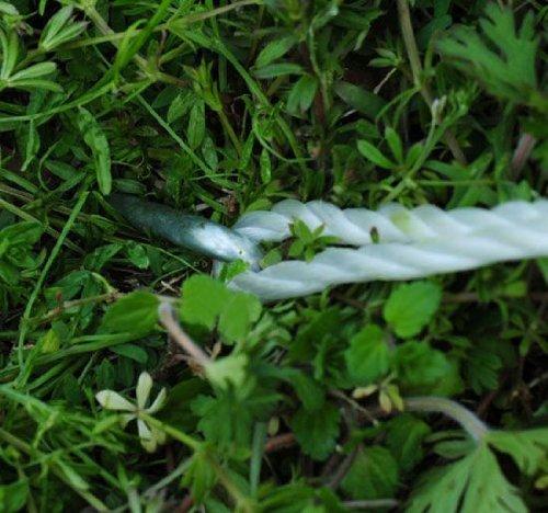 Palo per Tenda a Vela con Picchetti di Fissaggio e Corda 3m online