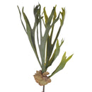 Set 2 Platycerium Artificiale con 5 Diramazioni Altezza 62 cm Verde