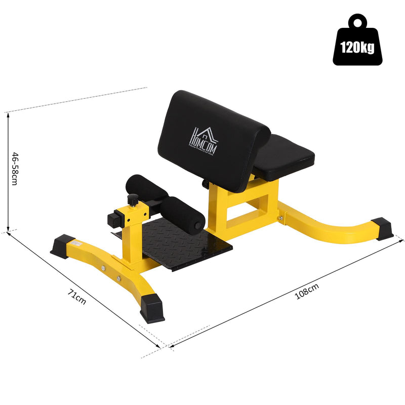 Panca Fitness Multifuzionale Scott Sissy Squat Abs Trainer Regolabile in Acciaio 