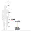 Albero Tiragraffi per Gatti H69 cm Rizzetti Miro Grigio