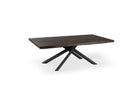 Tavolo Allungabile 200/300x100x76 cm in Frassino Spike  Naturale