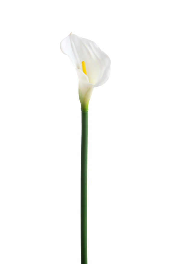 online Set 4 Fiori Artificiali di Calla Singola Altezza 74 cm Bianco