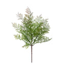 Set 6 Cespugli Capelvenere 51 cm