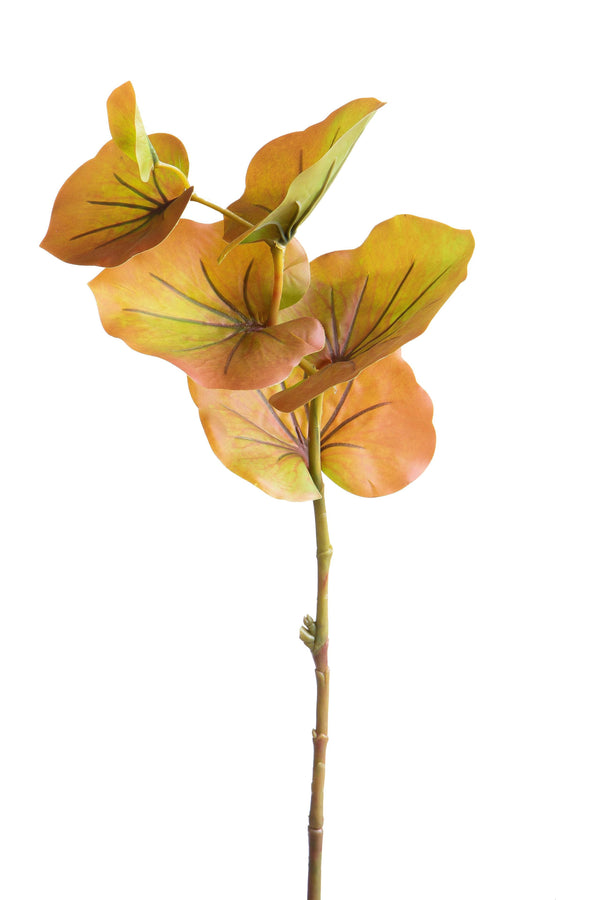 prezzo Set 9 Rami di Kalanchoe Artificiale Altezza 74 cm Marrone