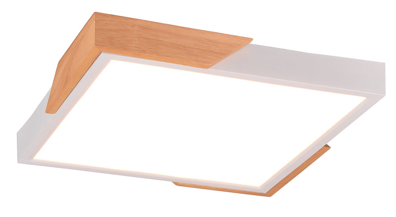 Plafoniera da Interno a LED in Plastica Bianco Opaco