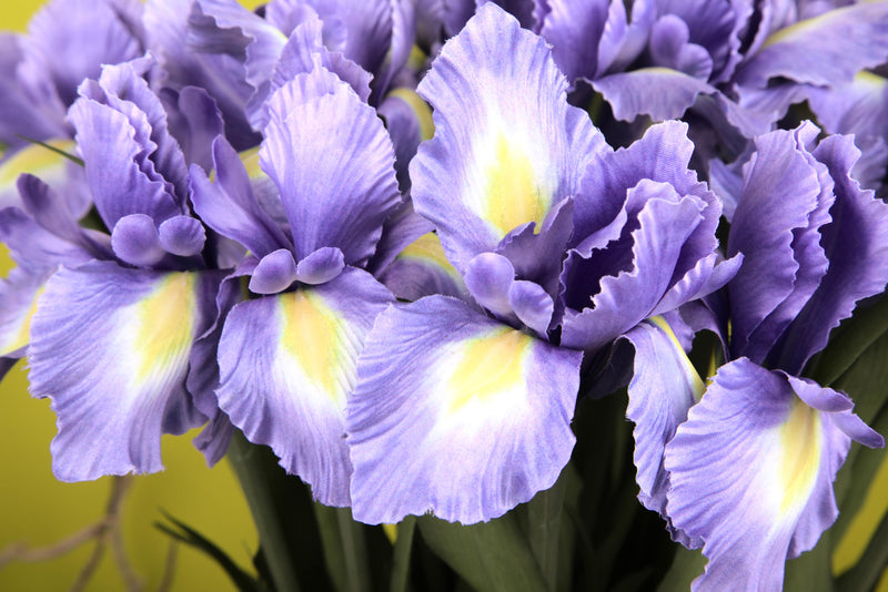 Iris Artificiale Composto da 5 Fiori Altezza 68 cm 