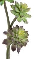 Set 2 Succulent Artificiale a 3 Diramazioni Altezza 50 cm Verde