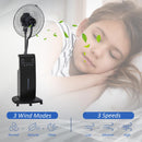Ventilatore a Piantana Ø44,5 cm con Nebulizzatore ad Acqua e Telecomando Nero
