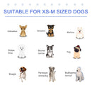 Piscina Rigida per Cani Taglia Media 65 Kg Ø120x30 cm in PVC e Truciolare Blu