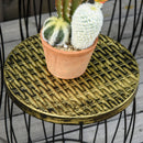 Set 3 Portapiante da Giardino in Metallo Nero e Bronzo