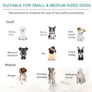 Divano per Cani e Gatti Imbottito 70x50,5x25,5 cm in Velluto Verde Petrolio