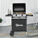 Barbecue a Gas GPL 2 Fuochi 2,8kW in Acciaio con Ruote e Mensole Nero