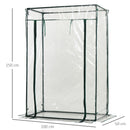 Serra da Giardino 100x50x150 cm in PVC Trasparente