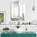 Specchio Bagno 50x15,1x70 cm con Luce LED Mensola e Struttura in Alluminio