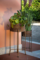 Set 2 Vasi in Ferro con Alz 31 H 69