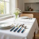 Servizio Set di Posate 24 pezzi in Acciaio Inox Eme Brio Azzurro 3