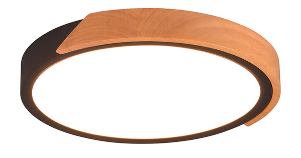 Plafoniera da Interno a LED in Plastica Nero Opaco online