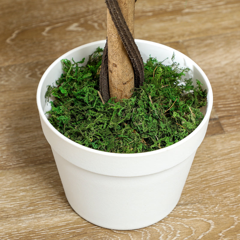 Set 2 Piante Artificiali Camelie con 21 Fiori per Interni con Vaso in PE Arancione  