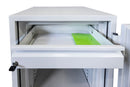 Cassaforte a Technomax 120 Dec Mobile Ignifuga per Supporti Magnetici       