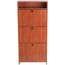 Scarpiera 3 Scomparti Legno naturale 60x24x132 cm 