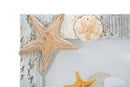 Cornice Shell 20,4x3,2x26,3 cm in Poliresina