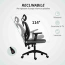 Sedia da Ufficio Ergonomica e Regolabile 66x61x106-116 cm con Supporto Lombare e Poggiatesta in Tessuro a Rete Grigio      