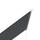 Tenda da Sole a Bracci con Apertura Manuale 150x120 cm Inclinazione e Protezione UV30+ Grigio