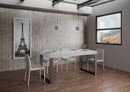 Tavolo 180x90x77 cm Tecno fix Bianco Frassino