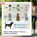 Passeggino per Cani Taglia Media e Grande 112x65x100 cm Pieghevole con Ingressi a Cerniera Nero e Rosso  