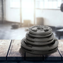 Set di 6 Dischi Pesi per Bilanciere Totale 35 Kg Grigi