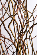 Set 20 Rami Naturali Salix 200 cm Nocciolo