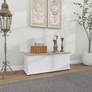 Panca Contenitore Multiuso 100x40x40 cm in Legno Bianco      