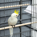 Voliera Gabbia per Uccelli 78x52x132 cm in Acciaio Grigio scuro