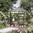 Serra da Giardino Esagonale 2,4x2,4x2,3m in Alluminio e Policarbonato Marrone