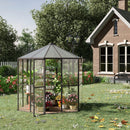 Serra da Giardino Esagonale 2,4x2,4x2,3m in Alluminio e Policarbonato Marrone