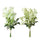 Set 6 Cespugli Gipsophlila 42 cm