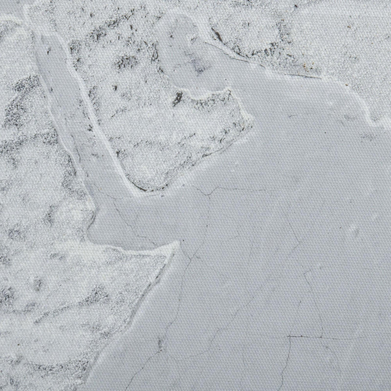 Stampa su Tela Mondo 120x90 cm in Legno di Pino Grigio e Bianco