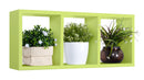 Mensola Rettangolare 3 Scomparti da Parete 70x30x15.5 cm in Fibra di Legno Tristano Verde