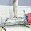 Scala Telescopica a 5 Posizioni con 2 Piattaforme di Sicurezza 339x76x10 cm in Alluminio Argento