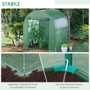 Serra da Giardino a Tunnel 180x180x200 cm con Porte e Finestre Avvolgibili in PE Verde