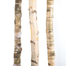 Tronco in Legno di Betulla Lunghezza 200 cm