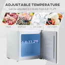 Mini Congelatore 47x44,2x48,8 cm 35 Litri 161W Bianco