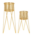 Porta Vasi Nat Coppia 21x20x46 cm - 18x18x32 cm in Ferro Oro      
