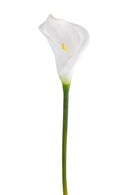 Set 6 Fiori Artificiali di Calla Semi Aperta Altezza 66 cm Bianco