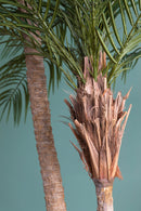 Ramo Artificiale Phoenix Palm a 2 Diramazioni con Vaso H 230 cm